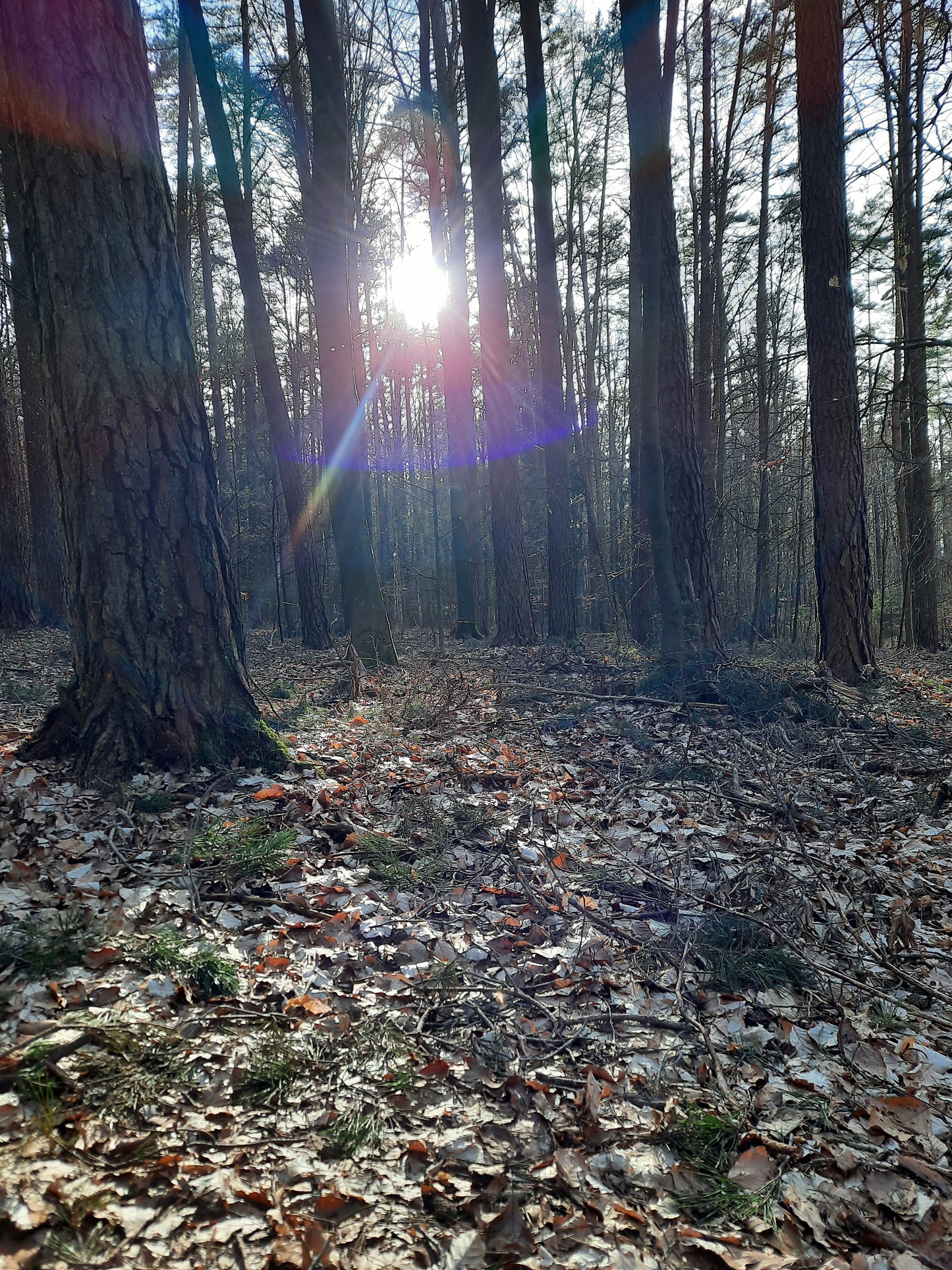 Storysale Susanne M.