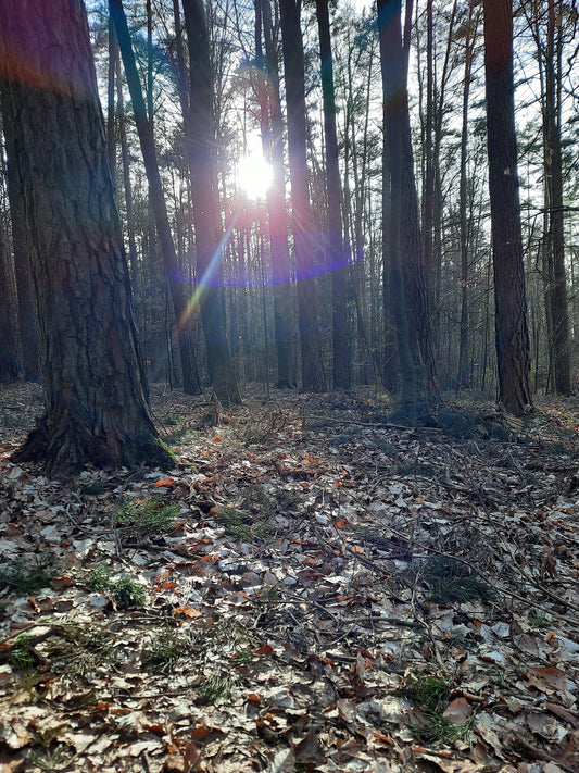 Storysale Susanne M.