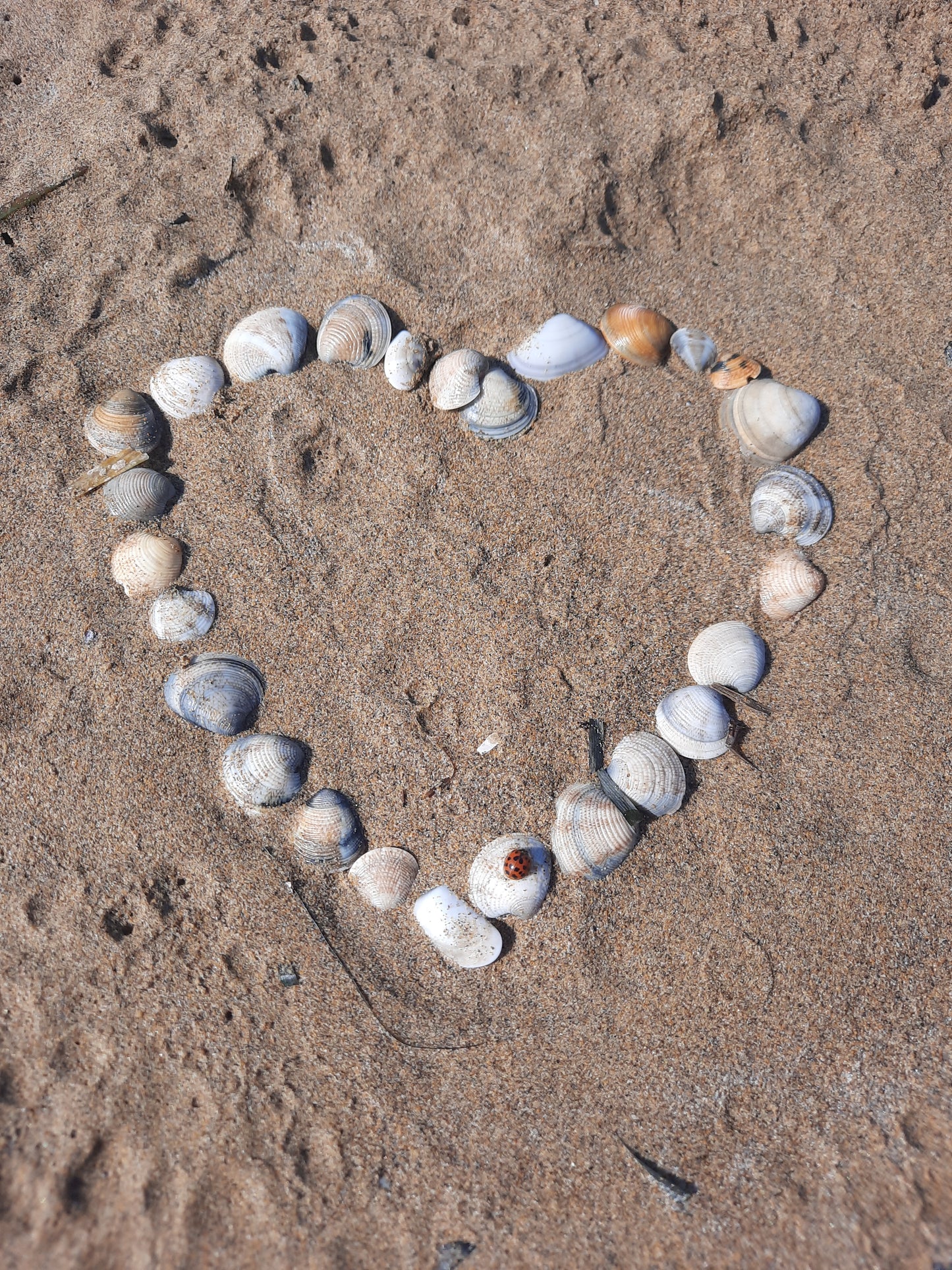 Storysale Julia_Marie