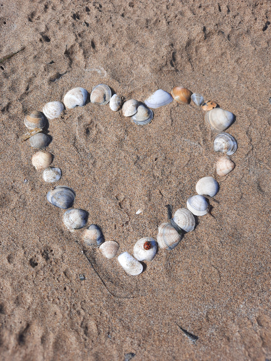 Storysale Julia_Marie