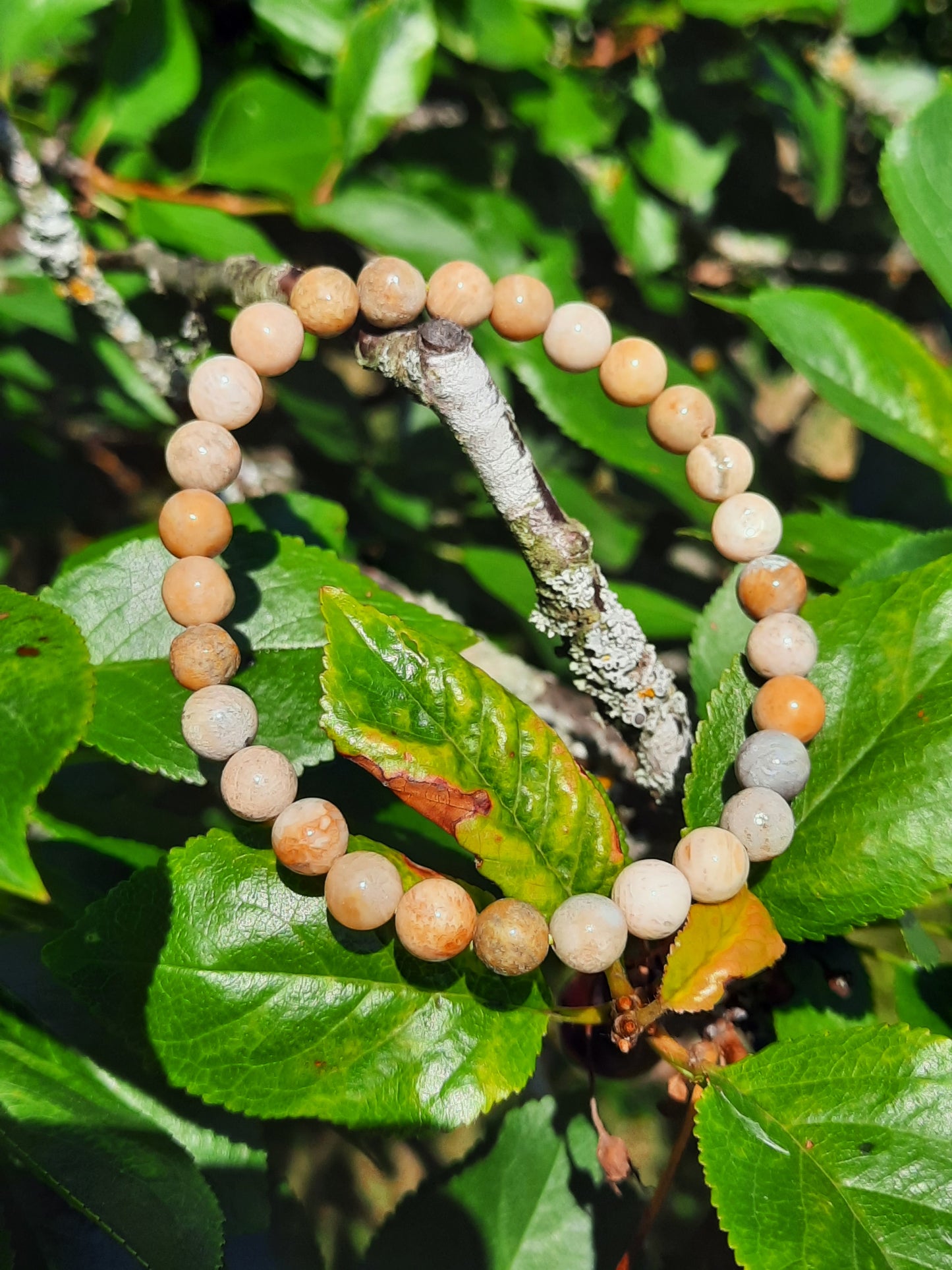 Versteinertes Holz Armband